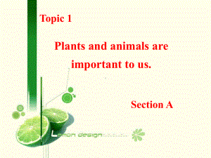 仁爱版八上《Topic1-Plants-and-animals-are-important-to-us》课件.ppt