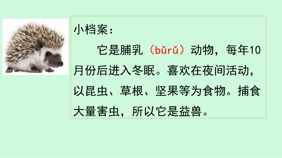 (部编)人教版小学语文三年级上册《-23-带刺的朋友》-公开课课件整理.pptx_第3页