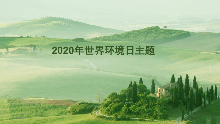 2020年世界环境日主题课件.pptx_第1页