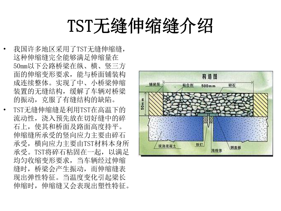 TST无缝伸缩缝施工方案(参考课件).ppt_第3页