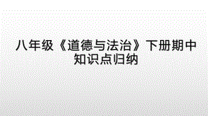 人教版八年级道德与法治下册期中复习课件.pptx