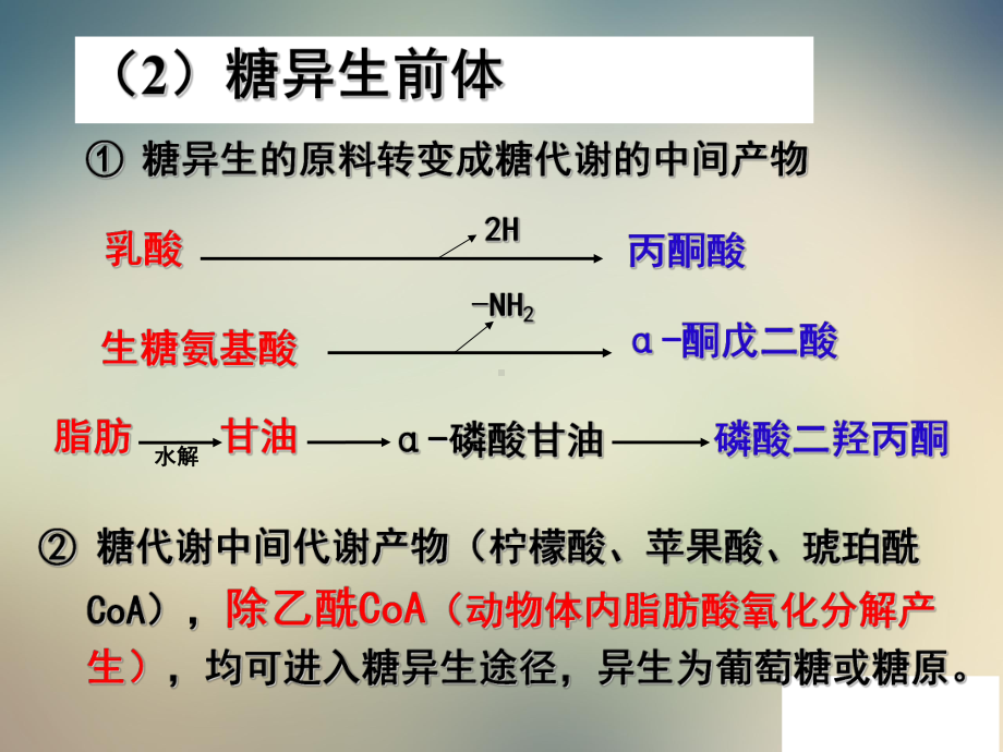 n糖代谢脂类代谢课件.ppt_第2页