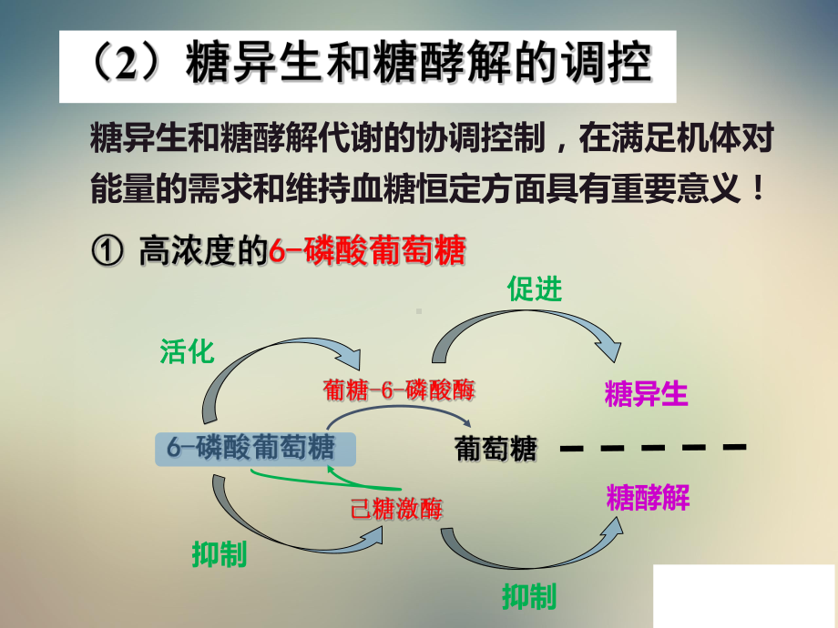 n糖代谢脂类代谢课件.ppt_第3页