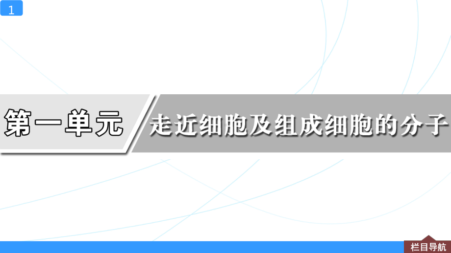 一轮复习课件第3讲-蛋白质和核酸.ppt_第1页