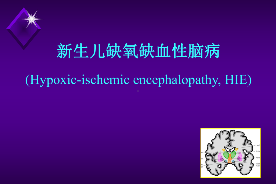 儿科学：新生儿缺氧缺血性脑病课件.ppt_第1页