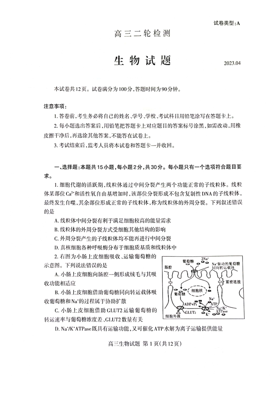 山东省泰安市2023届高三下学期二轮检测二模生物试卷+答案.pdf_第1页