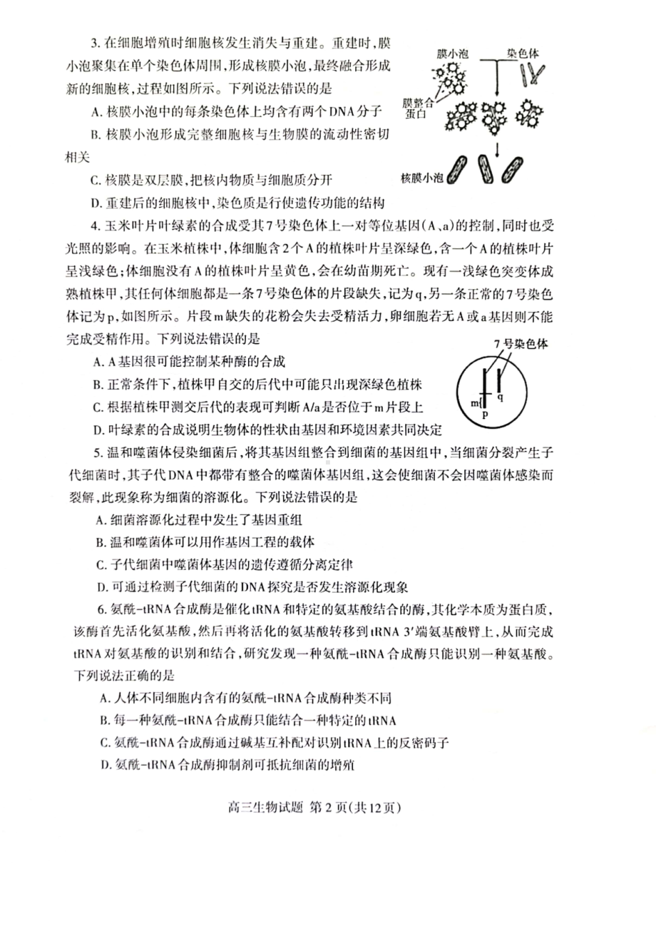 山东省泰安市2023届高三下学期二轮检测二模生物试卷+答案.pdf_第2页