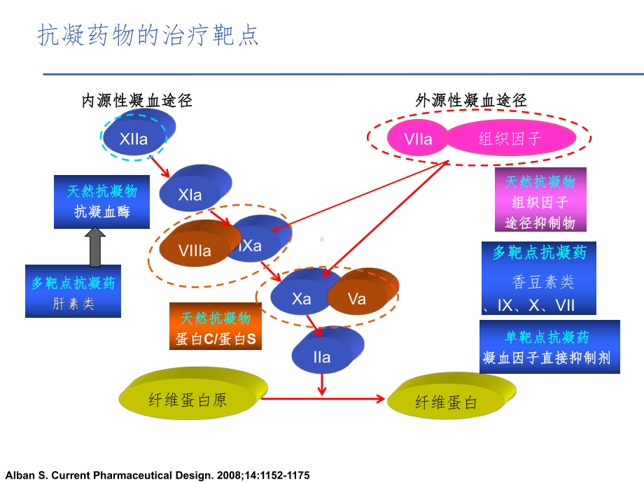 从抗凝机制的角度理解和选用抗凝药物-1课件.ppt_第2页