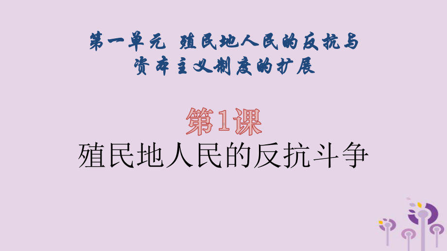 人教部编版九年级历史下册第一单元殖民地人民的反抗与资本主义制度的扩展复习（课件）（共）.pptx_第2页