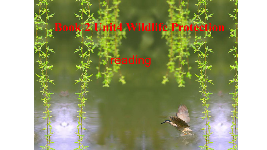 人教版高中英语必修二Unit-4-Wildlife-Protection-reading-公开课教学课件.ppt_第1页