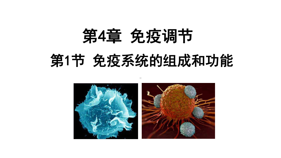 人教版新教材选择性必修一-41-免疫系统的组成和功能课件.pptx_第1页