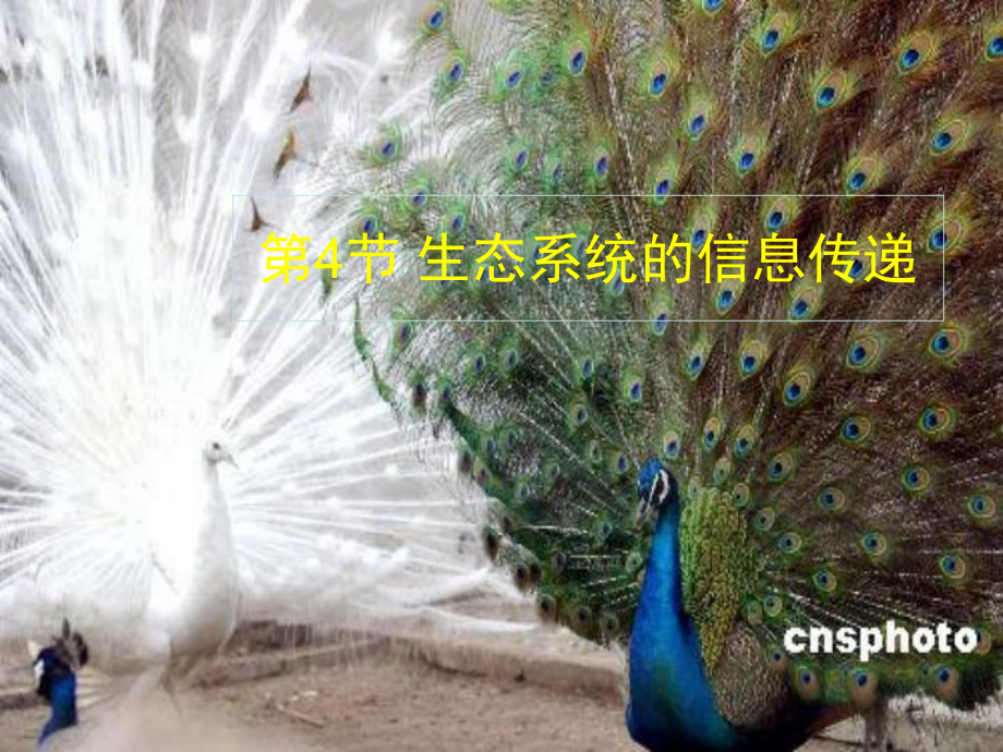 优质课-人教版高中必修三生物课件54生态系统的信息传递.pptx_第1页