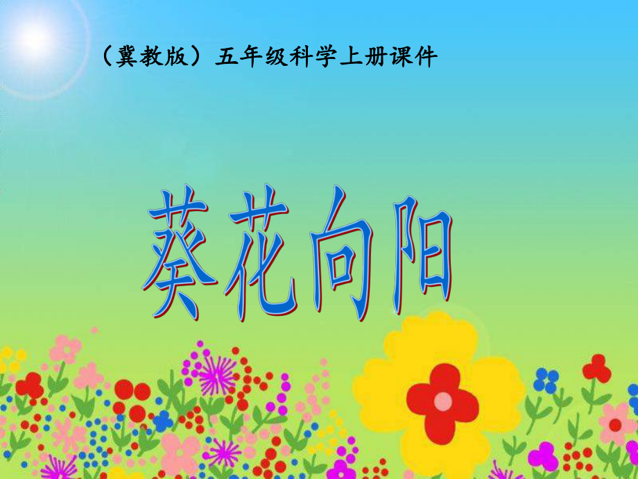 冀教版小学科学五年级上册《葵花向阳》课件.ppt_第1页