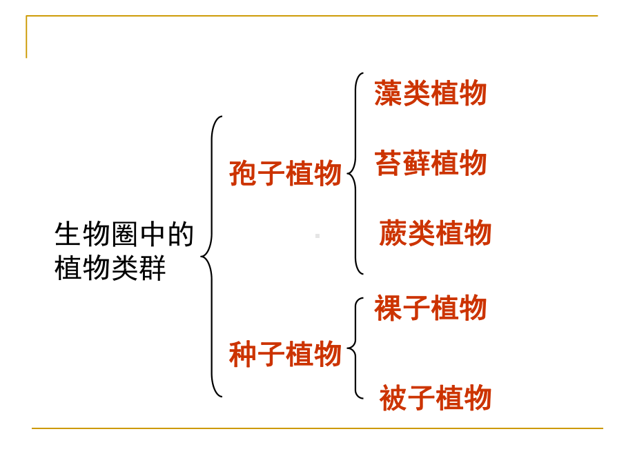 八年级下动物的主要类群北师大版课件.ppt_第3页