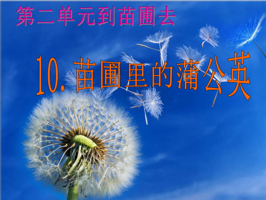 五年级下册科学课件：10苗圃里的蒲公英-鄂教版-.ppt_第2页