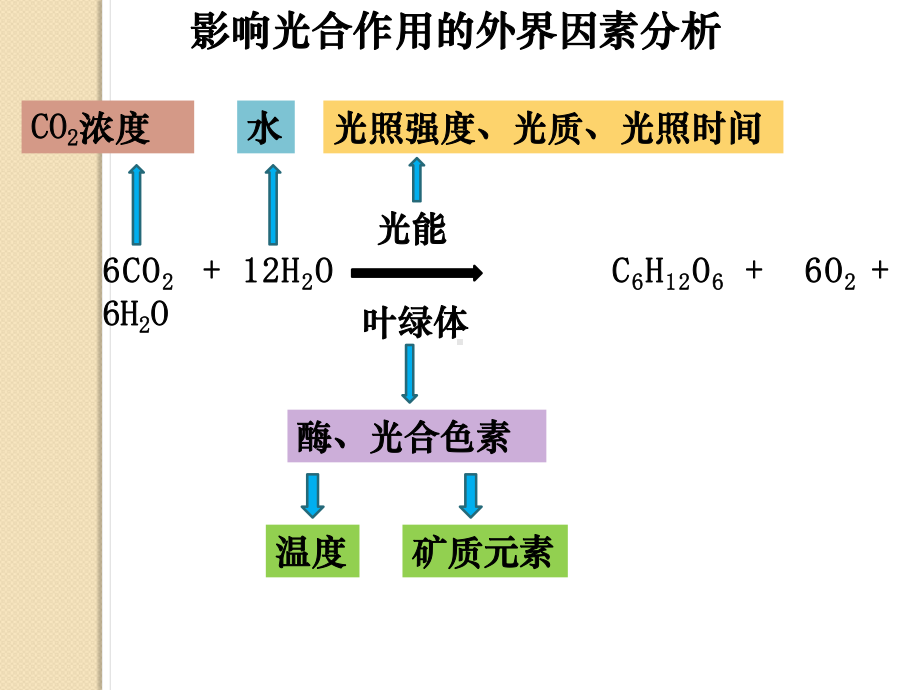 光合作用在农业生产上的应用课件.pptx_第3页