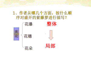 七-级语文上册-紫藤萝瀑布课件第二课时课件-人教新课标版.ppt