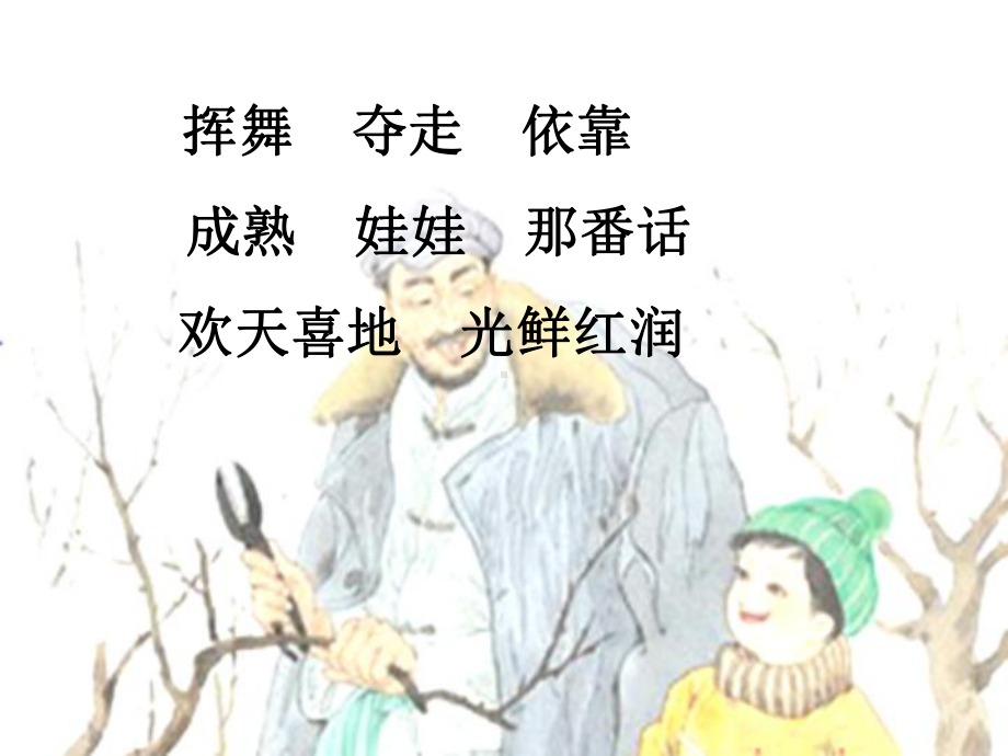 剪枝的学问第一课时课件.ppt_第2页