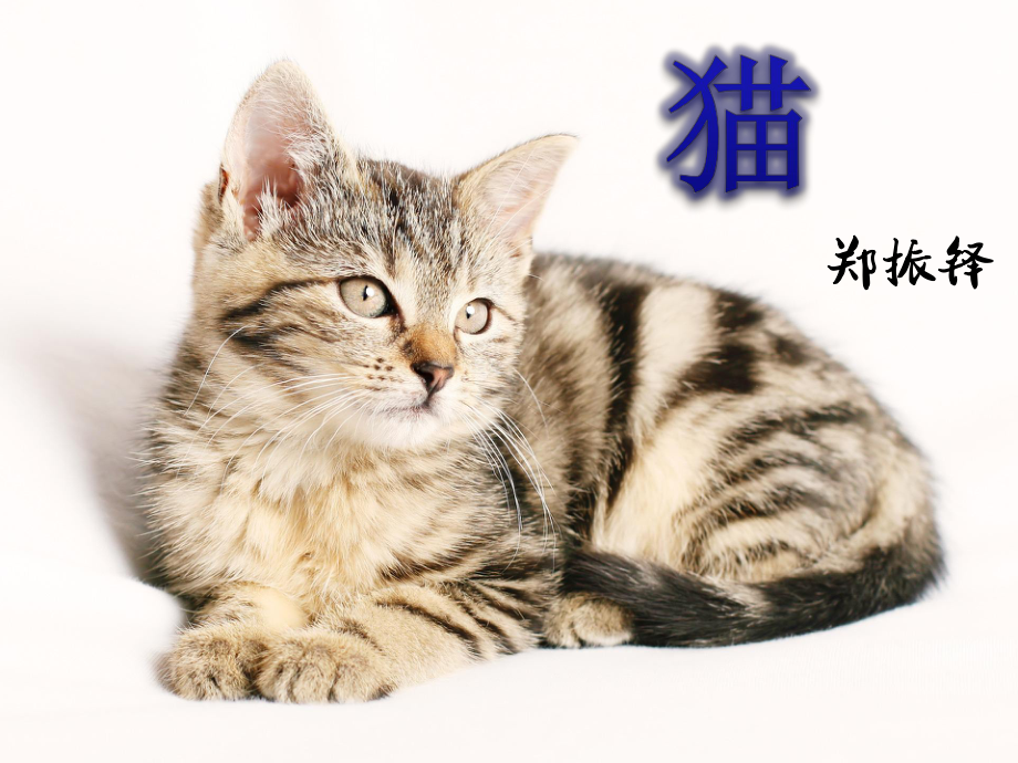 《猫》课件部编版.ppt_第2页