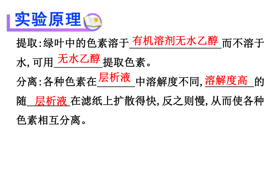 优质课人教版生物必修1-第5章实验绿叶中色素的提取和分离-课件.ppt_第2页