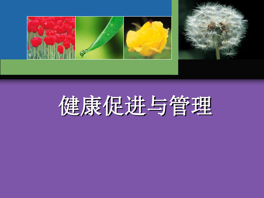 健康促进与管理-课件.ppt_第1页