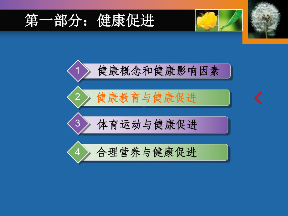 健康促进与管理-课件.ppt_第2页