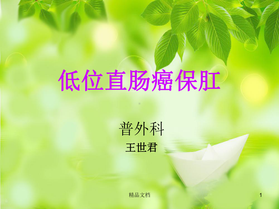 低位直肠癌保肛(汇总)(汇总)课件.pptx_第1页