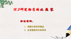 九年级物理上册123研究物质的比热容课件新版粤教沪版.ppt