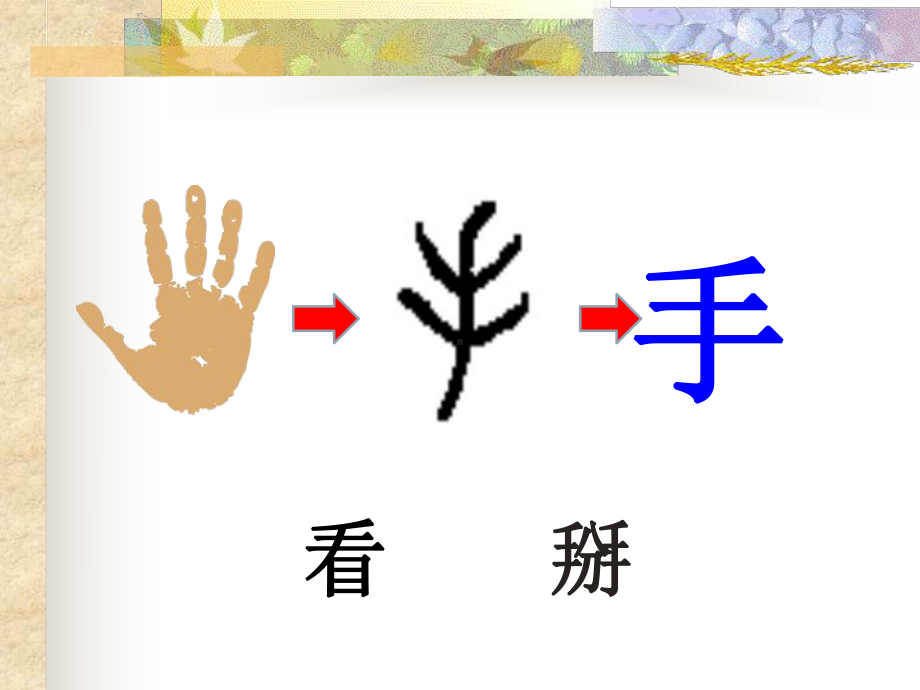 人教版小学语文五年级上册《-有趣的汉字》-优质课课件整理.ppt_第3页