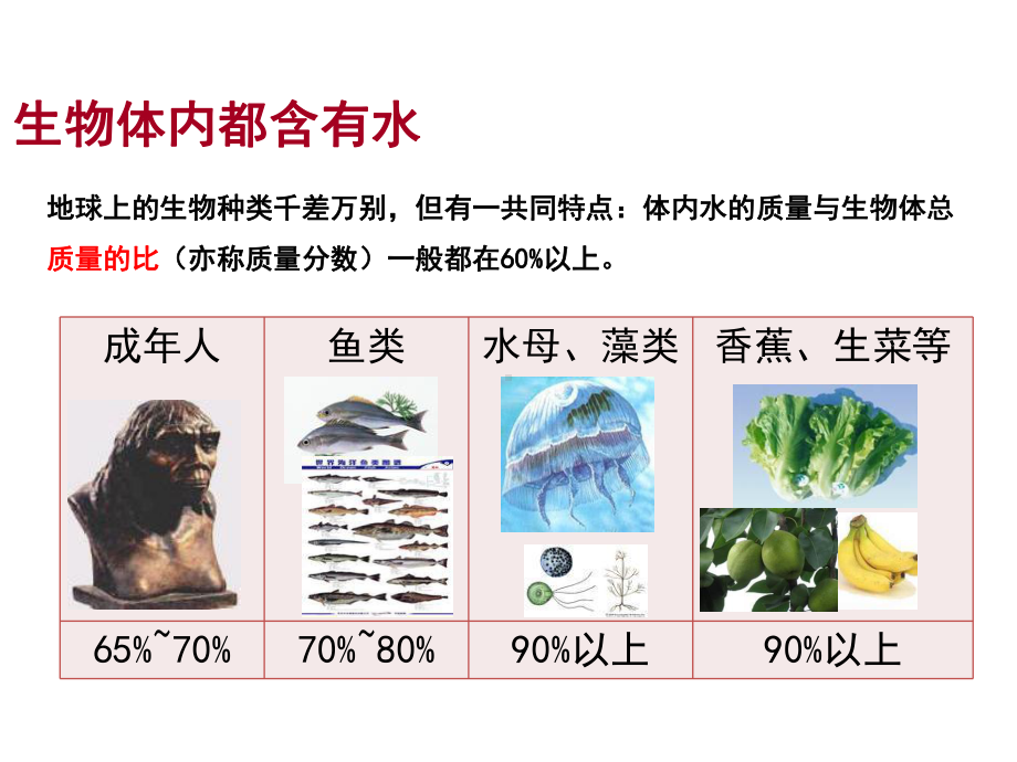 初中化学鲁教版九年级上册教学课件-22-水分子的变化.pptx_第2页