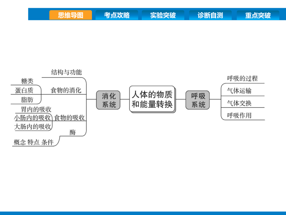 2020年中考科学复习精讲课件第6讲-人体的物质和能量转换1.pptx_第3页