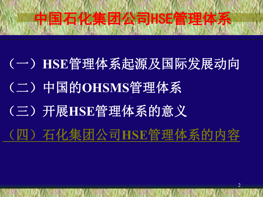 中石化HSE管理体系资料课件.ppt_第2页