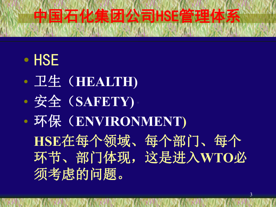 中石化HSE管理体系资料课件.ppt_第3页