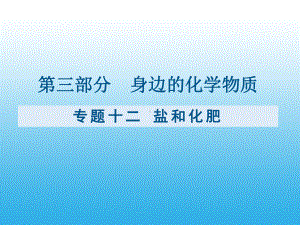 （课件）九年级化学复习专题十二：盐和化肥.pptx