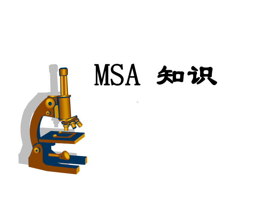 MSA信息解读(经典)资料课件.ppt_第1页