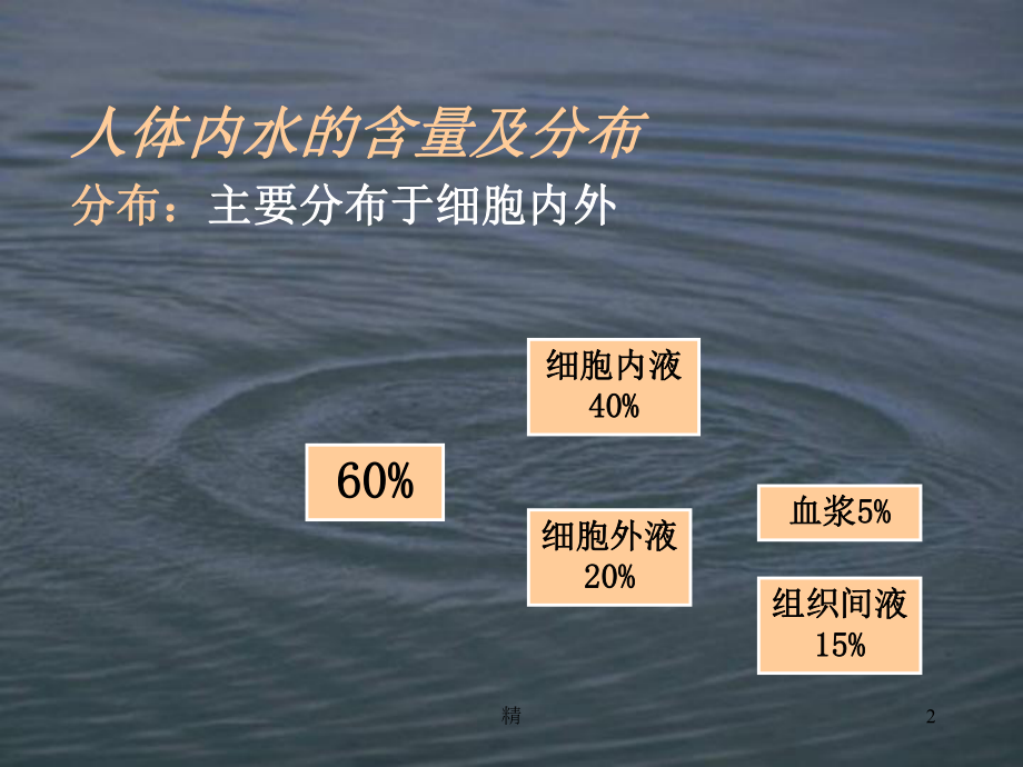 人体对水的需要-经典教学课件.ppt_第2页