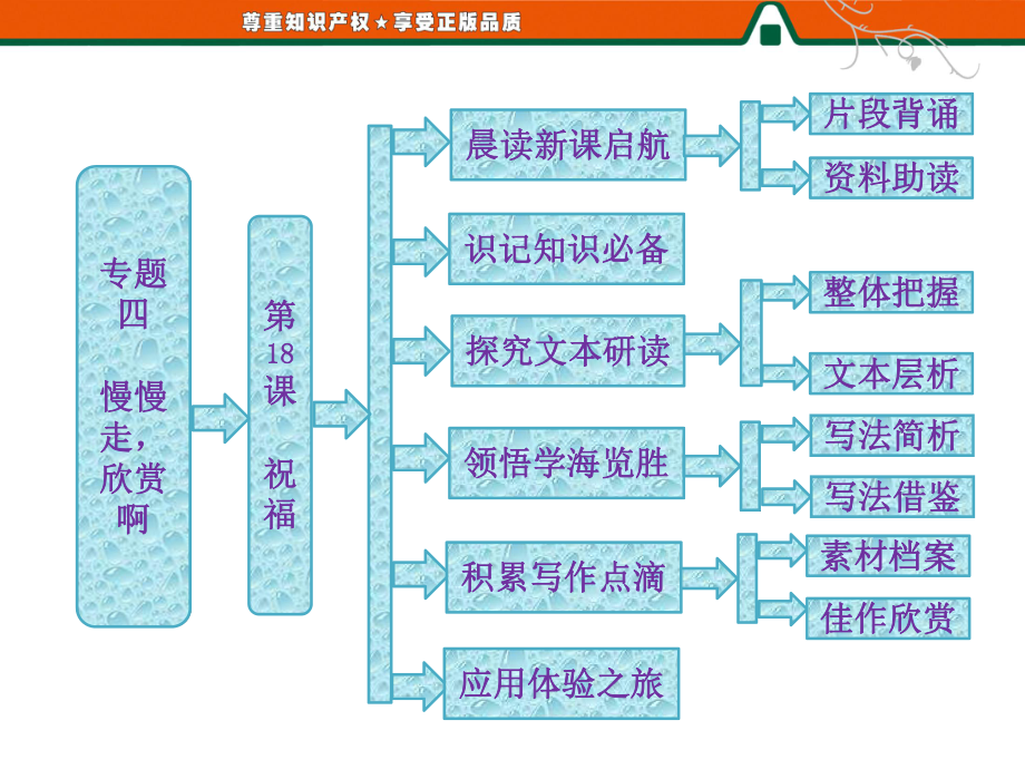 优秀课件第18课-祝福.ppt_第1页