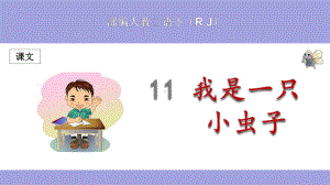 (部编)人教版小学二年级语文下册《我是一只小虫子》优秀课件.pptx