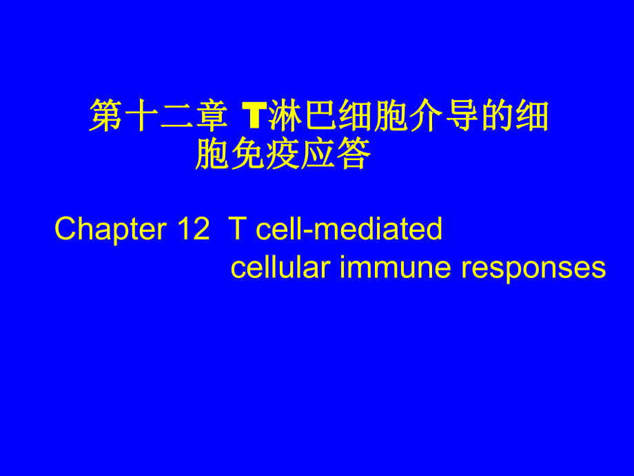 T淋巴细胞介导的细胞免疫应答资料课件.ppt_第1页