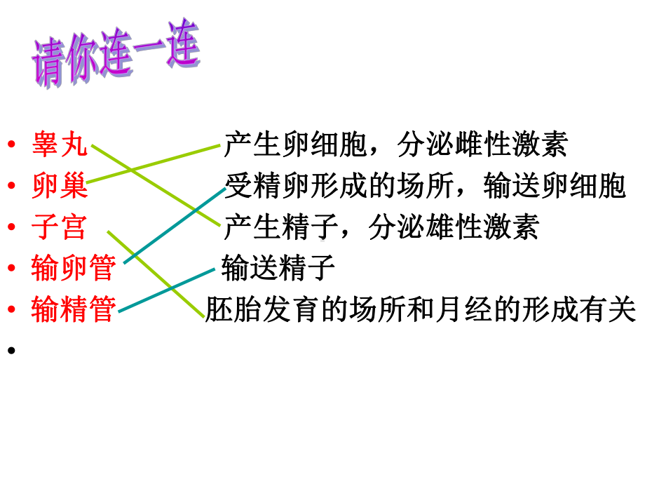 人的生殖和发育第二课时课件.ppt_第2页