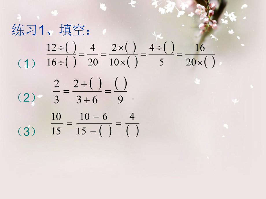 分数的复习教学课件.ppt_第2页