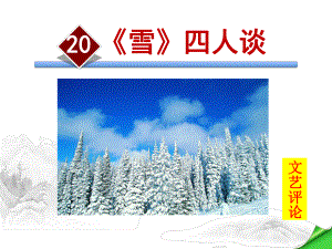 《雪》四人谈课件9下苏教版20.ppt