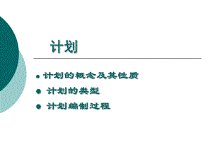 《管理学原理》计划与计划工作皮豆文库课件.ppt