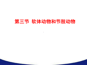 优质课-人教版八年级生物上册-513软体动物和节肢动物-课件.ppt