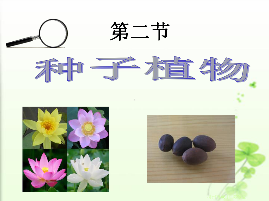 信息技术应用成果种子植物第一课时课件.ppt_第2页