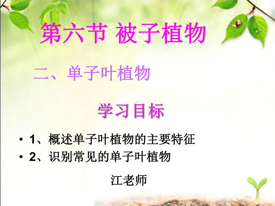 冀教版生物课件-单子叶植物.ppt_第1页