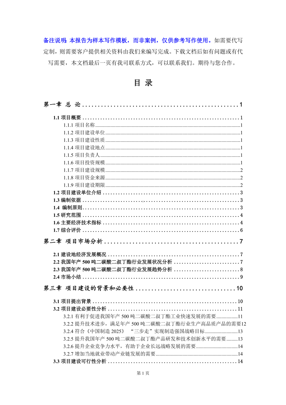 年产500吨二碳酸二叔丁酯项目可行性研究报告写作模板立项备案文件.doc_第2页