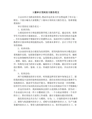 3篇审计顶岗实习报告范文.docx