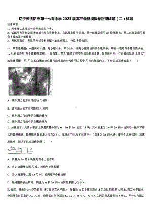 辽宁省沈阳市第一七零中学2023届高三最新模拟卷物理试题（二）试题.doc