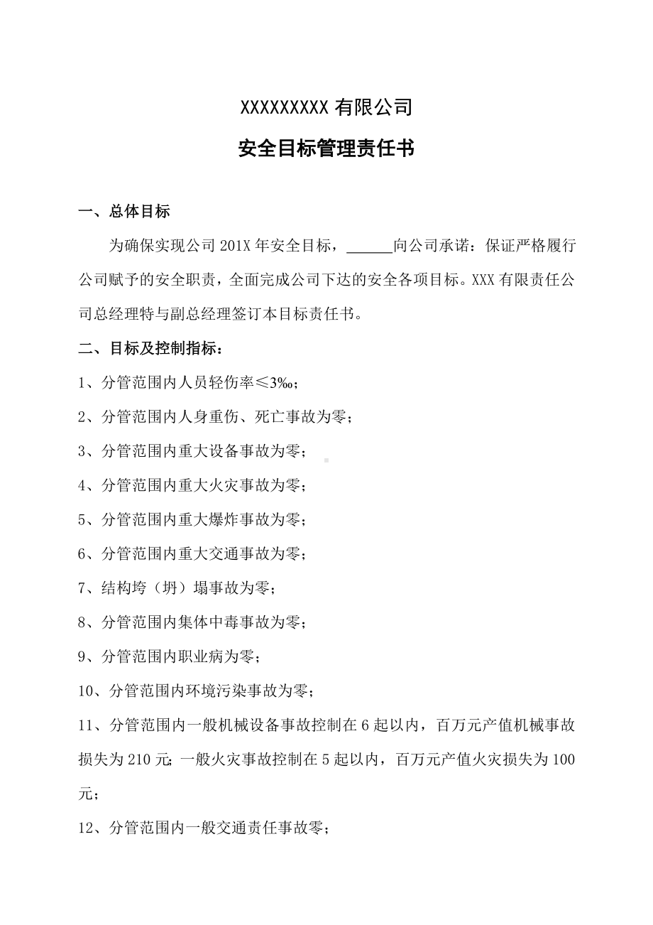 企业安全标准化-副总经理责任书参考模板范本.doc_第1页